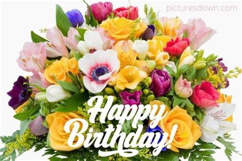 happy birthday bild blumen|Happy Birthday Blumen Imagens – Procure 10,878 fotos, vetores。